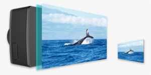 Your World In 4k - Yi Ii International Version Sports Camera (black) #2313338