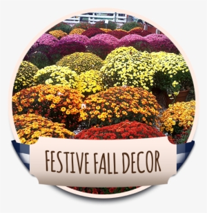 The U Pick Pumpkin Patch At Debuck's Corn Maze & Pick - Howell's #2313408