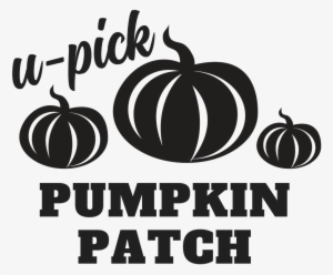 My Latest Videos - Cookie #2313479