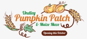 Undley Pumpkin Patch & Maize Maze - Actiepagina #2313514