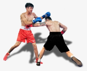 Professional Boxing #2313904