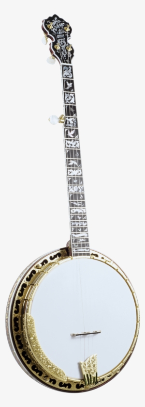 Spring Front #2315153