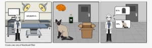 El Gato De Schrodinger - Schrödinger's Cat #2315901