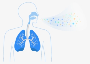 Breath Contains Chemical Data - Invoy, Llc #2315927