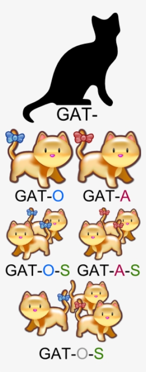 Source, Flexióngato - Masculine And Feminine Gender Plural Form #2316002