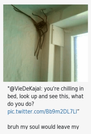 Bruh, Chill, And Ups - My Soul Would Leave My Body #2317449