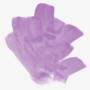 Peach Paint - Rose #2317932