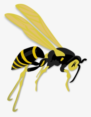 Flying Wasp Png Clip Arts #2319827