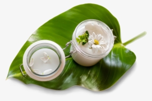 The Line Is Fully Compatible With Any Age And Brings - Halal Ingredients In Cosmetics #2319828