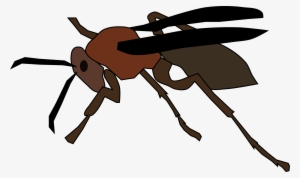 Big Image - Cartoon Paper Wasp #2319977