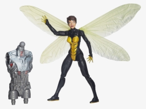 Wasp #2320232