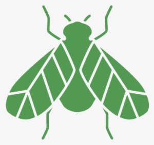 Pest Control For Wasps - Pest Control & Exterminator Of Orange County #2320347