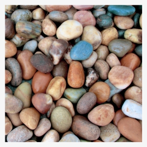 Diversity - Art #2320821
