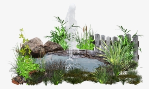 Pond Psd #2320904