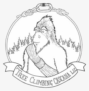 Sasquatch Is A Derivative Of The Word Sásq'ets, From - Young Pirate #2321417