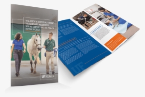 270298 Fmg New Biz Uf Compilation Website Page Ufcvm - Brochure #2321418