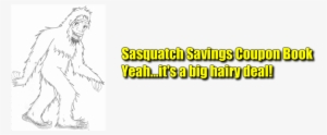 Sasquatch Coupon Book #2321758