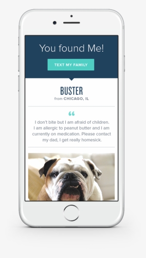 Pet Insurance - Pet #2322438