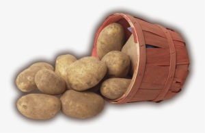 My Upcoming Memoir Frozen Dinners Contains A Chapter - Basket Of Potatoes Transparent #2323657