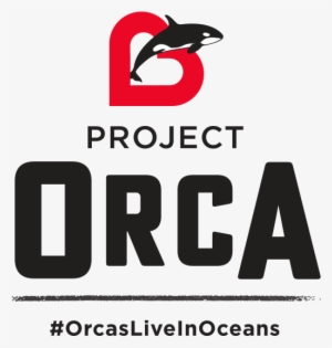 Orcas Project - Managing Project Stakeholders By Tres Roeder #2323818