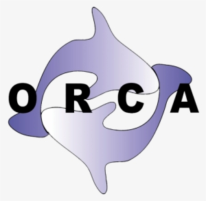 Orca - All Time Low #2323925