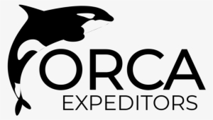 Orca Png #2323956