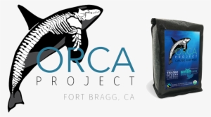 Fort Bragg, California #2323976