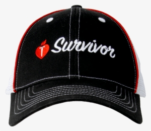 Image - Survivor #2325194