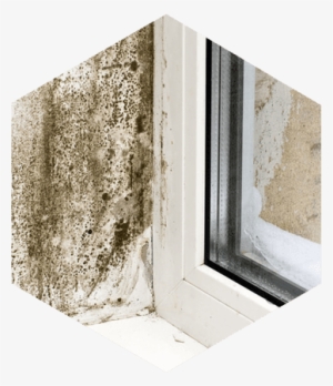 Mould Caused By Condensation - Exemple De Vis Cache #2326059