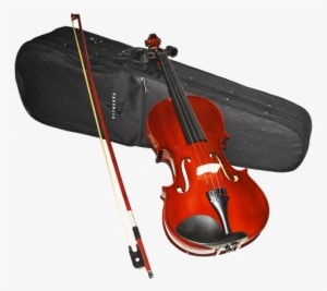 Valencia Viola #2326223