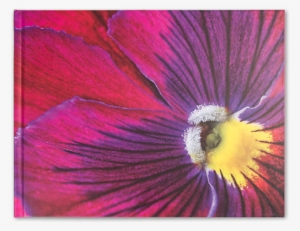 Deluxe Journal - Viola Flower - Shutterstock #2326707