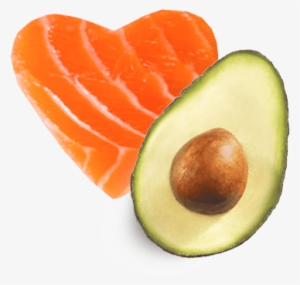 The 3 Major Families Of Fats - Salmon Unsaturated Fat #2327524 The 3 Major Families Of Fats - Salmon Unsaturated Fat #2327524
