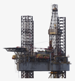 Field-based Research Into The Biological Communities #2327604