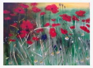 Coxwood Poppies - Poppy #2328205