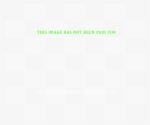 Checkers Scripts 3a - Papel Preto E Branco Quadriculado #2329234