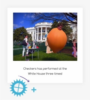 Click The Icons To Learn More - Tree #2329552