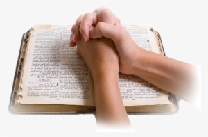 Una Vez Que Hayas Elegido Un Libro Lo Primero Que Debes - Meditacion De La Palabra De Dios #2329666