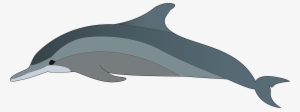 Spinner Dolphin Clipart Dolphin Fish - Bottlenose Dolphin Clipart #2329886