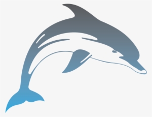 Hawaii Dolphins - Delfin #2330328