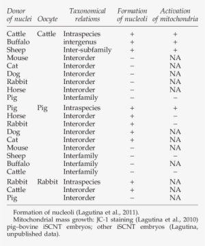 Formation Of Nucleoli And Mitochondrial Mass Growth - Document #2332271