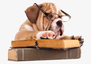 Content Through Adwd With The Exception Of A Few Minor - Bulldog With Book #2332274