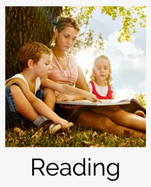 Reading #2332448