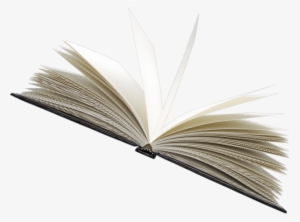 Gifted Hands The Ben Carson Story #2333539