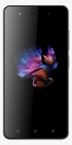 Lava R1 Details - Lava Iris 41 Specification #2334393