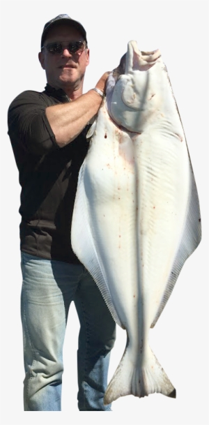 Leave A Reply Cancel Reply - Alaska #2335308