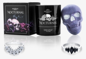 The Nocturnal Collection - Skull #2337699