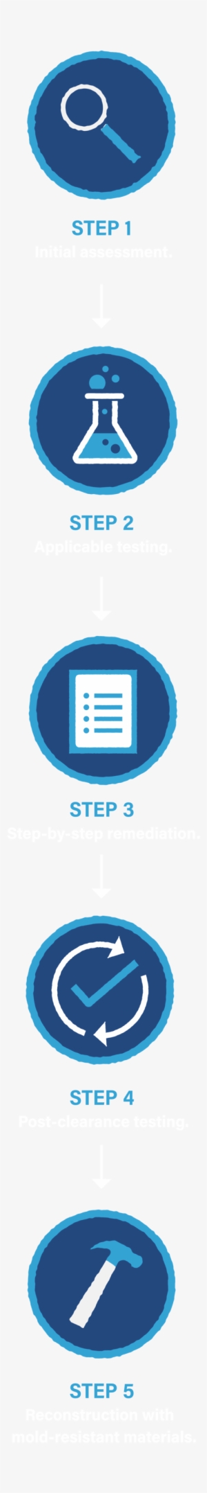 Residential Mold Removal Mbl Anim Fade Up - Portable Network Graphics #2337742