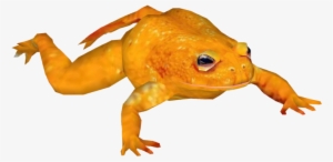 Posted Image - Golden Toad #2337929
