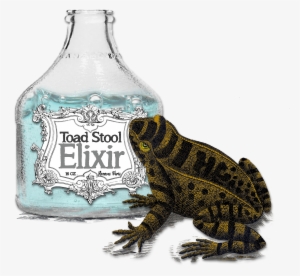 Download File - Oak Toad #2337973