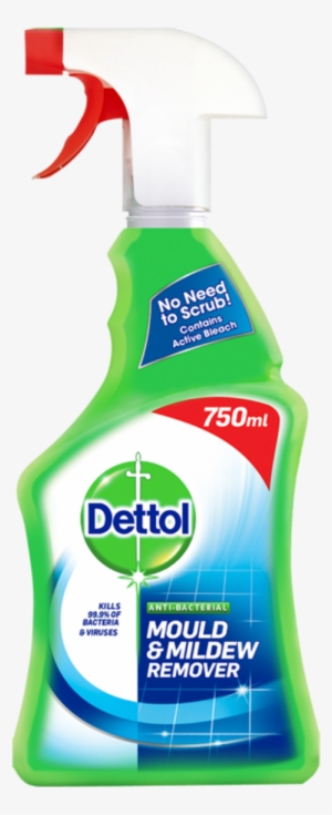 Dettol Mould & Mildew Remover - Dettol Mould And Mildew Remover #2338236